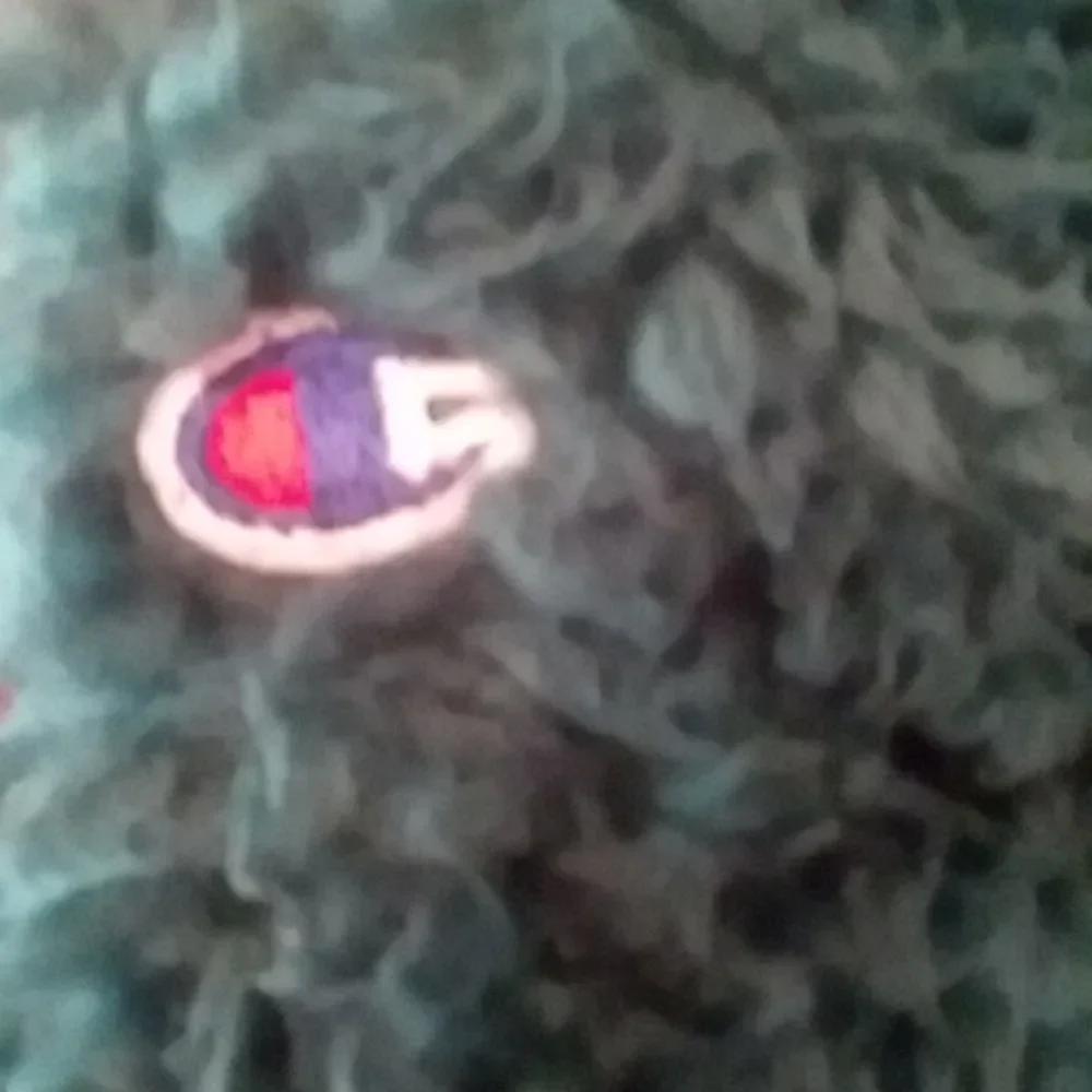 Champion teddy bear hoodie deep green sz M - Picture 6 of 9